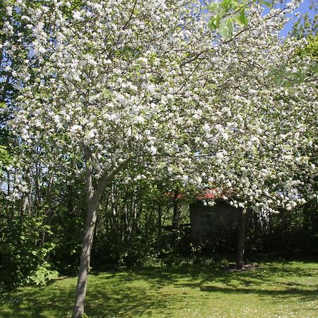 Countryside Eco Natuurhuisjes Ee Exteriör bild