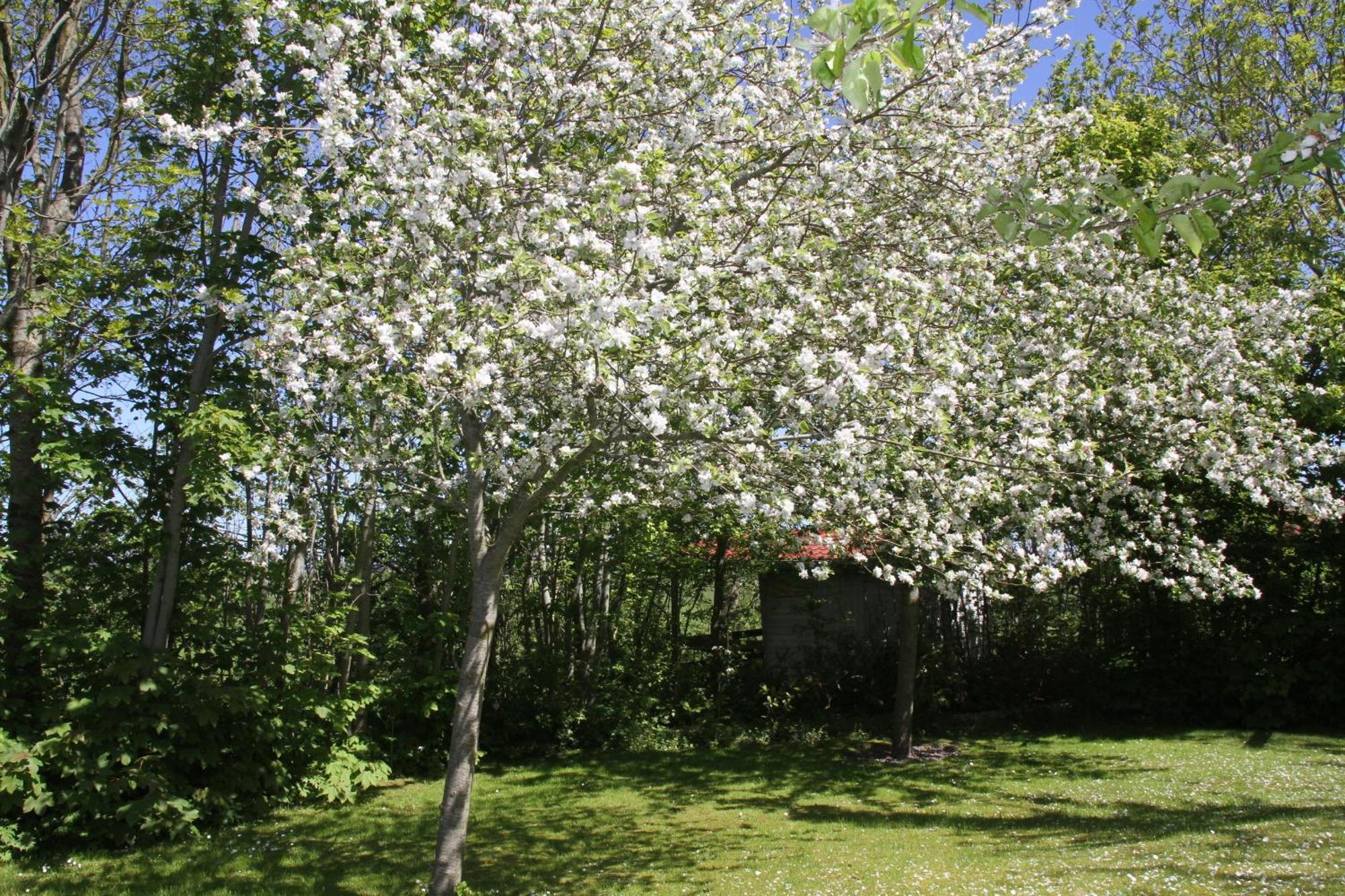 Countryside Eco Natuurhuisjes Ee Exteriör bild