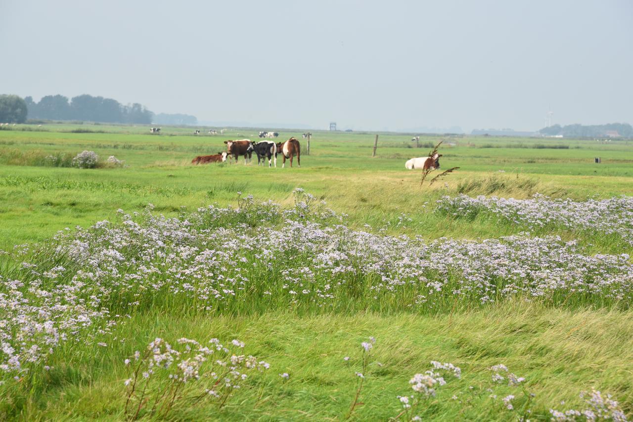 Countryside Eco Natuurhuisjes Ee Exteriör bild