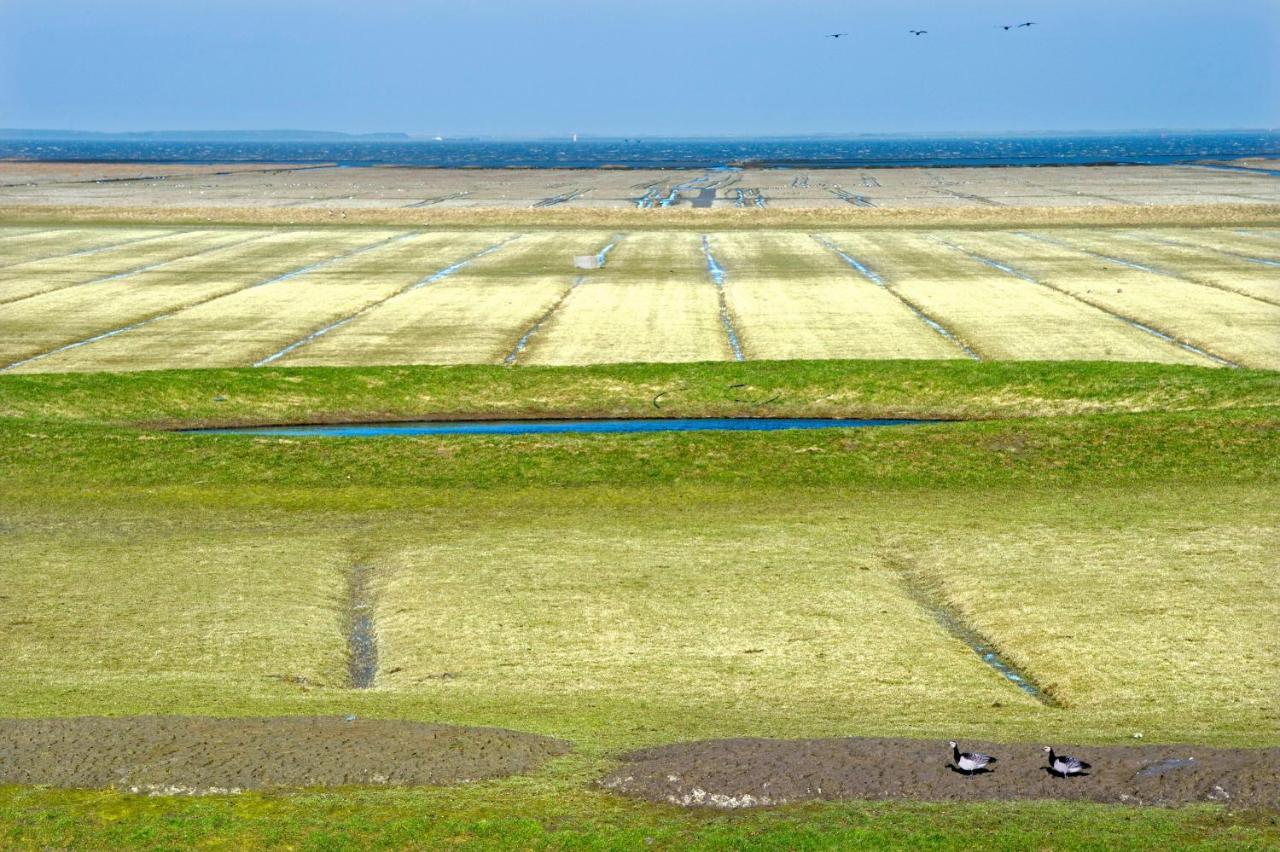 Countryside Eco Natuurhuisjes Ee Exteriör bild