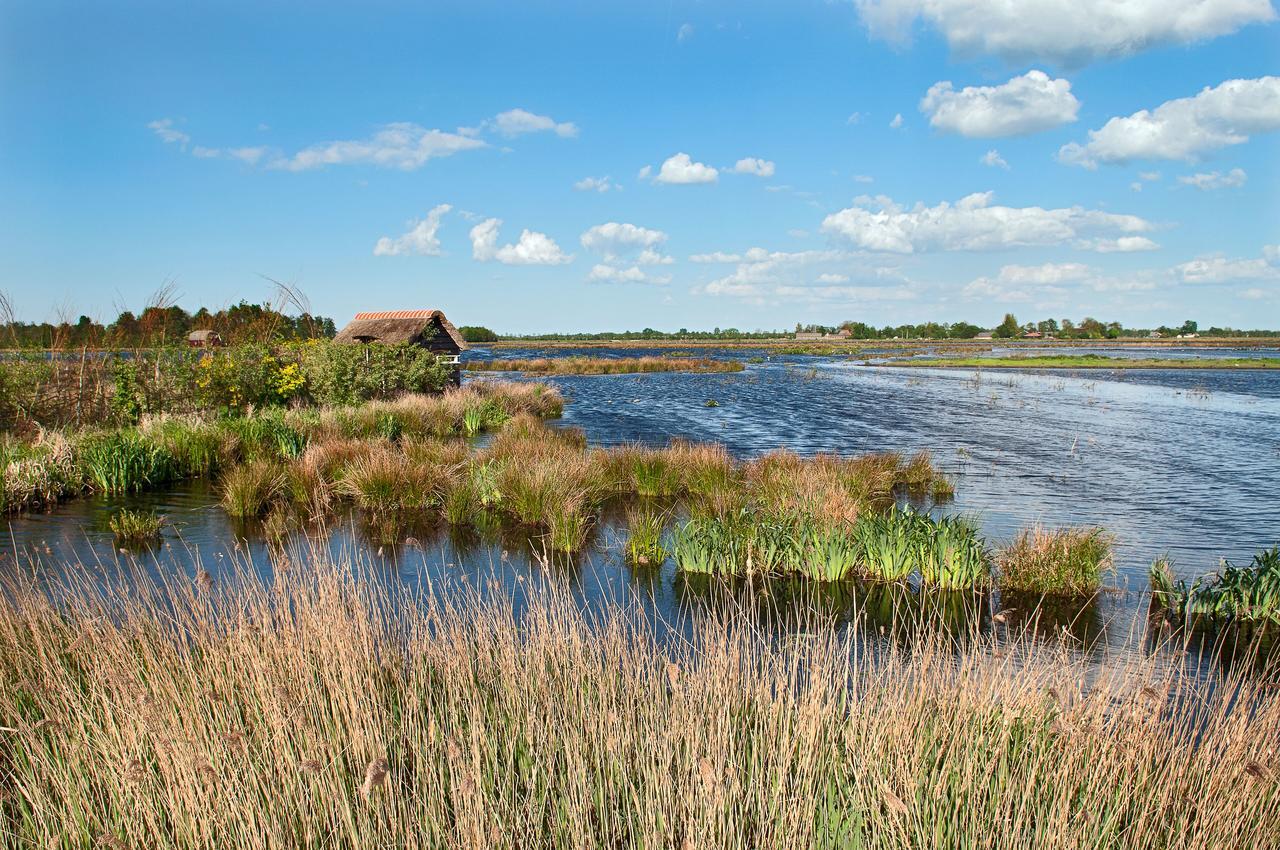 Countryside Eco Natuurhuisjes Ee Exteriör bild