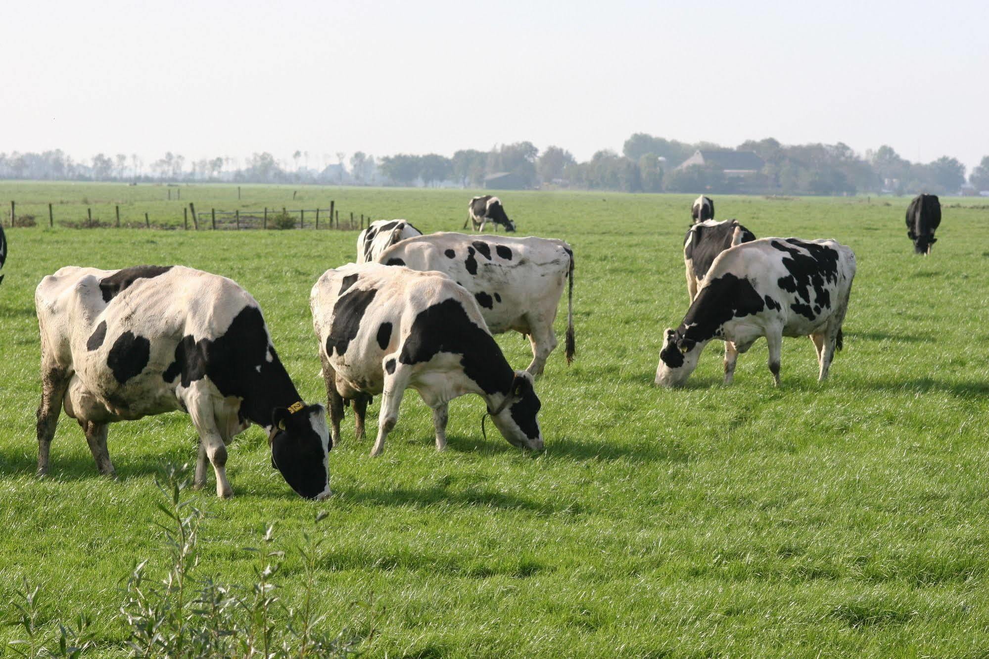 Countryside Eco Natuurhuisjes Ee Exteriör bild
